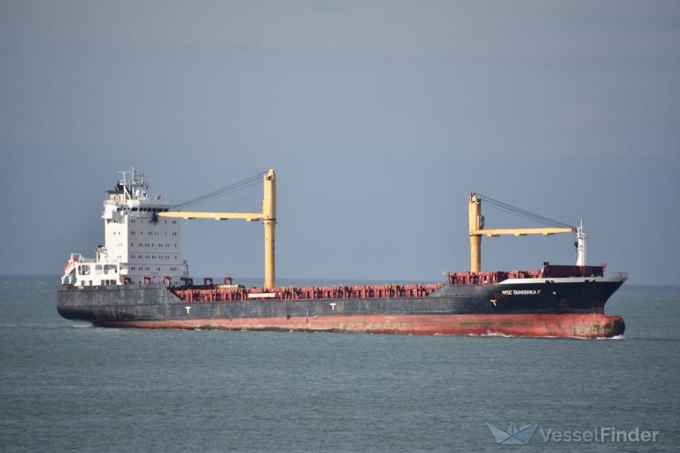 MSC TAMISHKA F photo