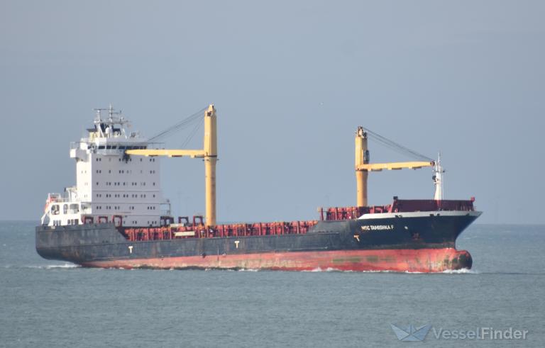 MSC TAMISHKA F