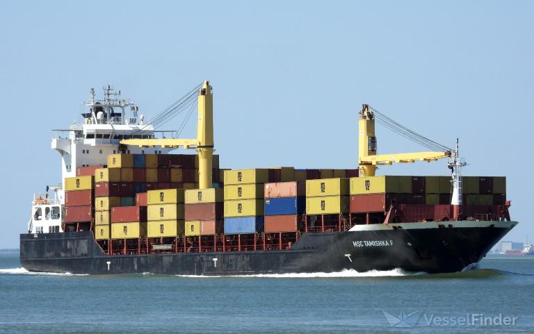 MSC TAMISHKA F