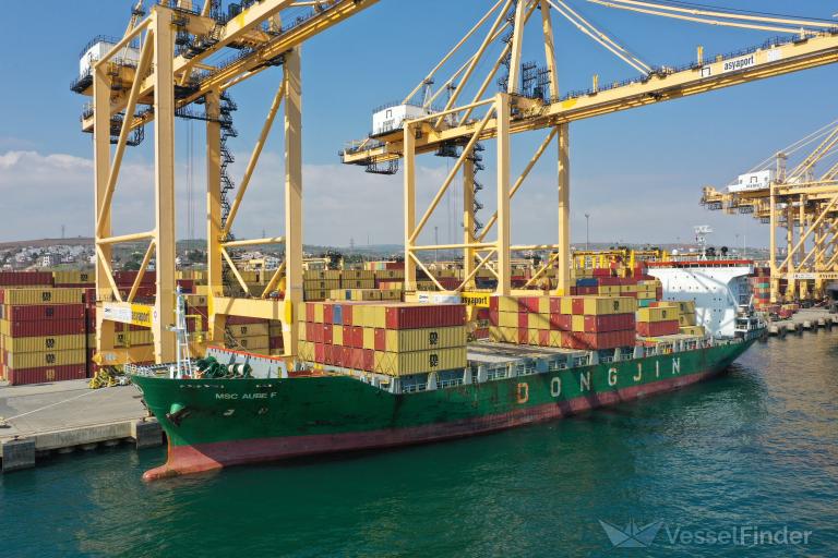 MSC AUBE F photo