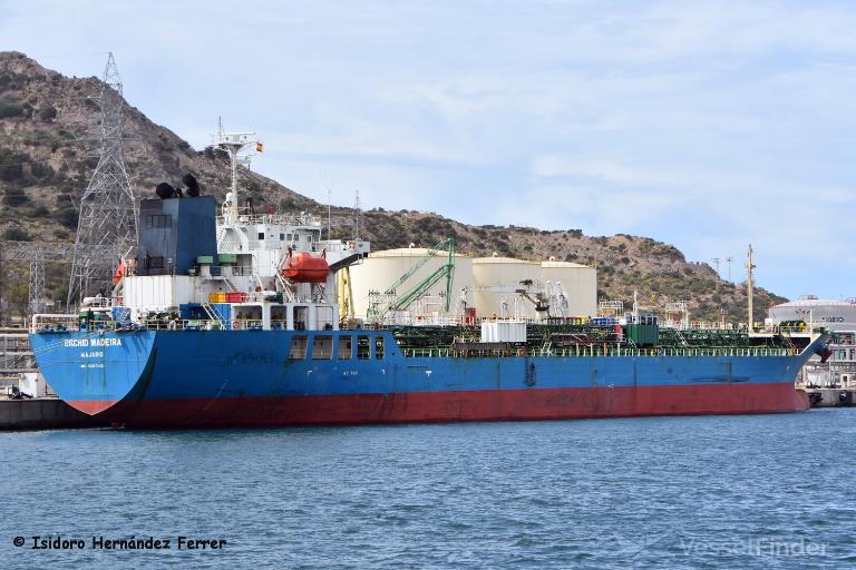 ORCHID MADEIRA photo