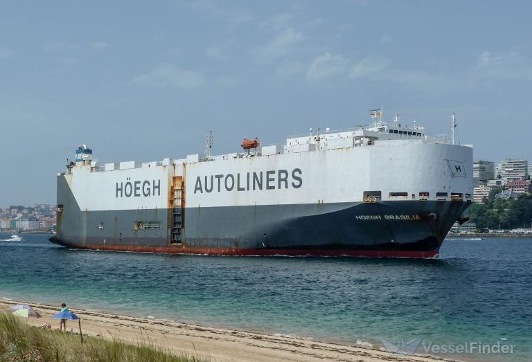 VIKING BRASILIA photo