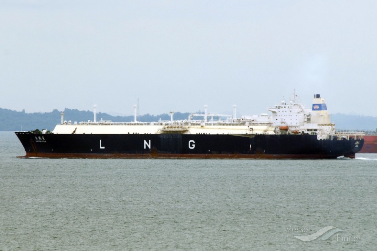 DAPENG STAR photo