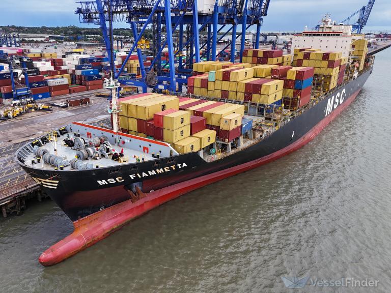 MSC FIAMMETTA photo