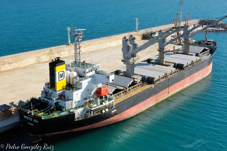 WHITE IVY, Bulk Carrier - Details and current position - IMO