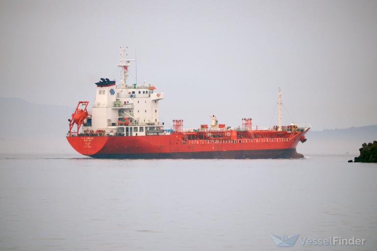 YN OCEAN photo
