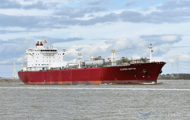 CLIPPER NEPTUN (IMO 9372432)