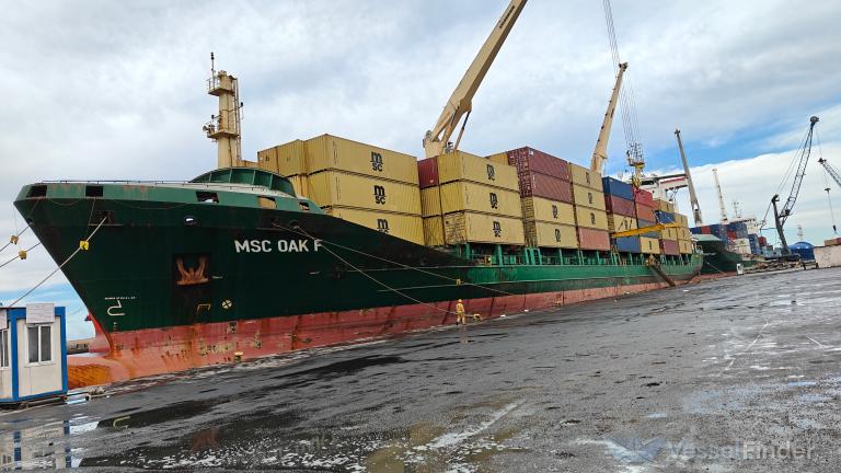 MSC OAK F photo
