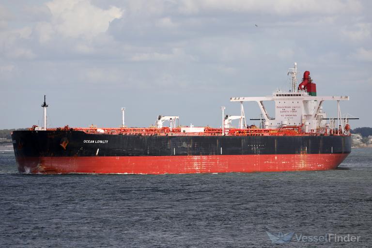 OCEAN LOYALTY photo