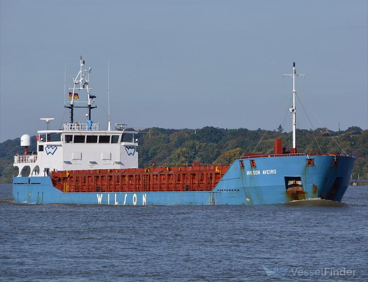 WILSON AVEIRO photo