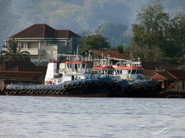 KALTIM DOLPHIN 17-10 photo