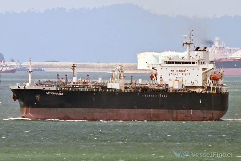 EASTERN QUINCE photo