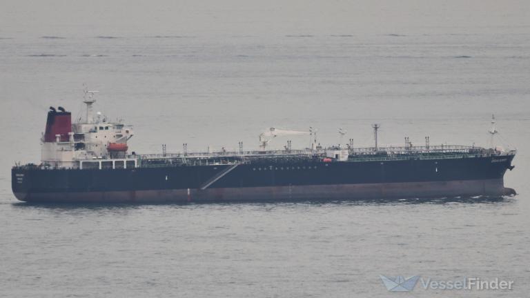 EASTERN QUINCE photo