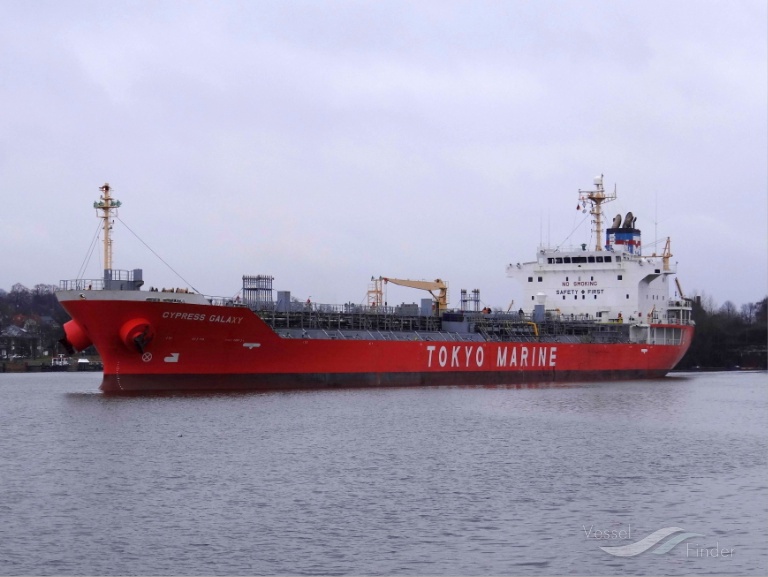 CYPRESS GALAXY photo