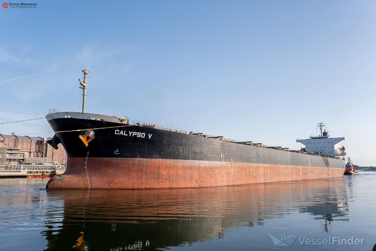 CALYPSO V photo