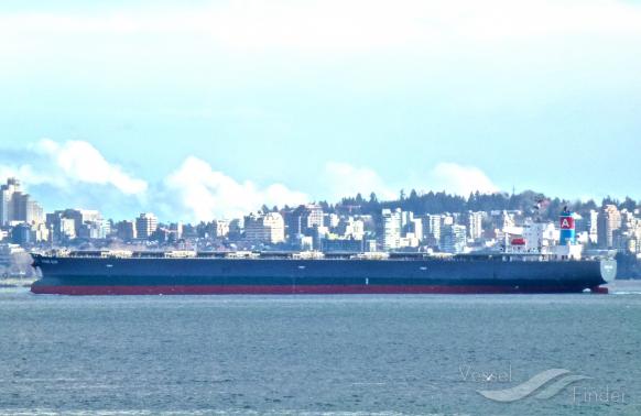 RISING SUN, Bulk Carrier - Details and current position - IMO 9381225 ...