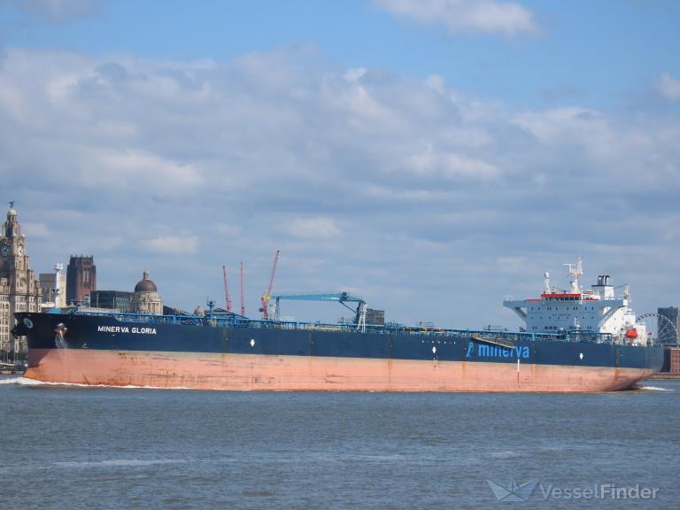 MINERVA GLORIA photo