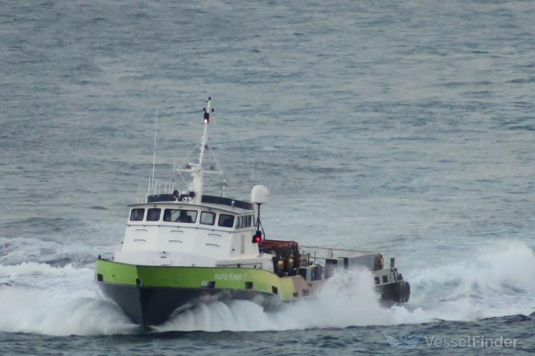 RAPID RUNNER II photo