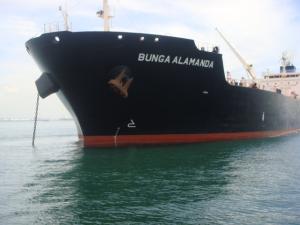 BUNGA ALAMANDA - Chemical/Oil Products Tanker - Details and current
