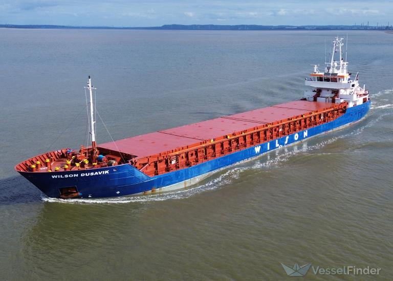 WILSON DUSAVIK photo