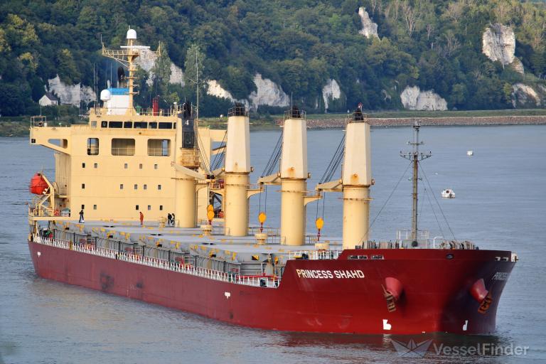 PRINCESS SHAHD photo