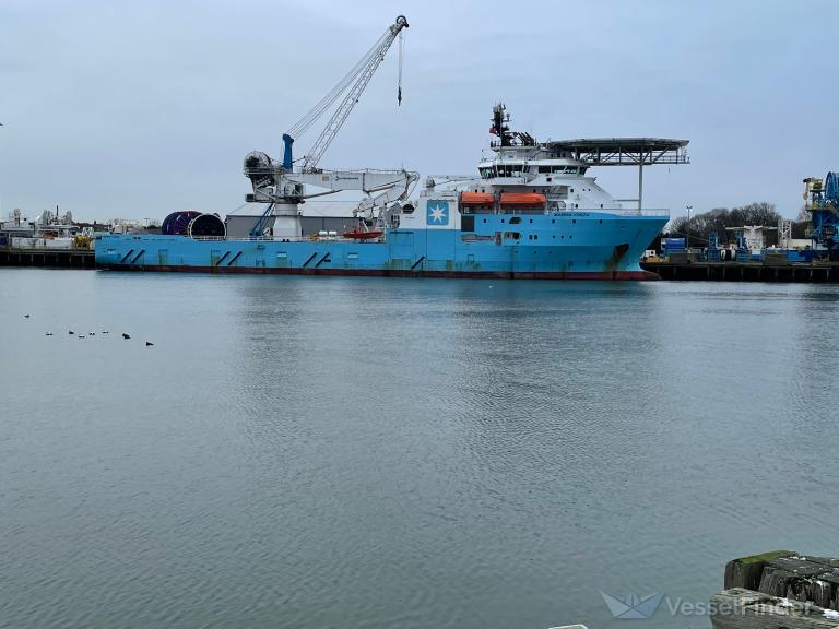 SKANDI FORZA photo