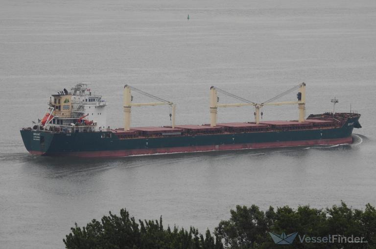 BRANT photo