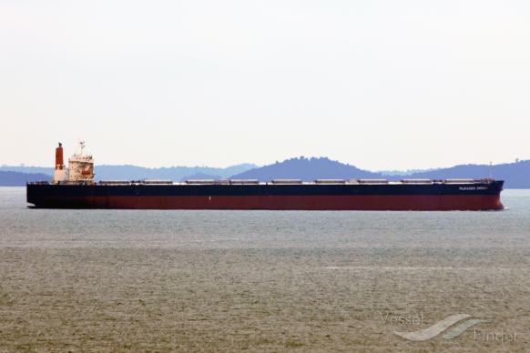 WINNING RISING photo