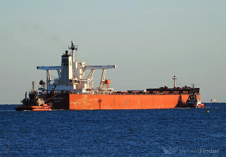 HYUNDAI PIONEER photo