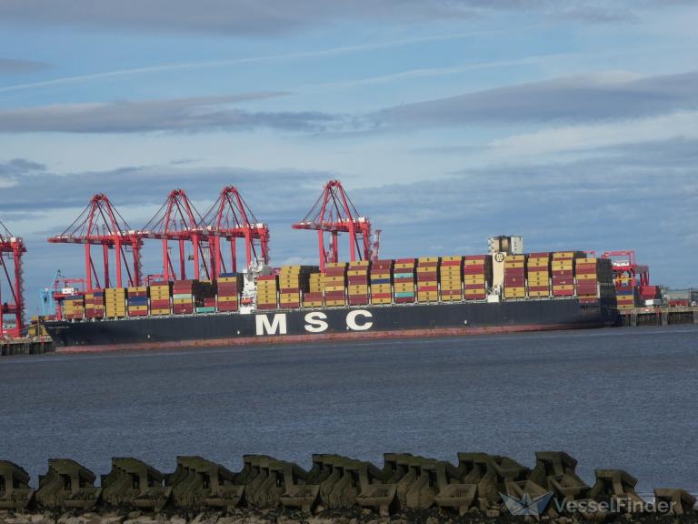 MSC DANIELA photo