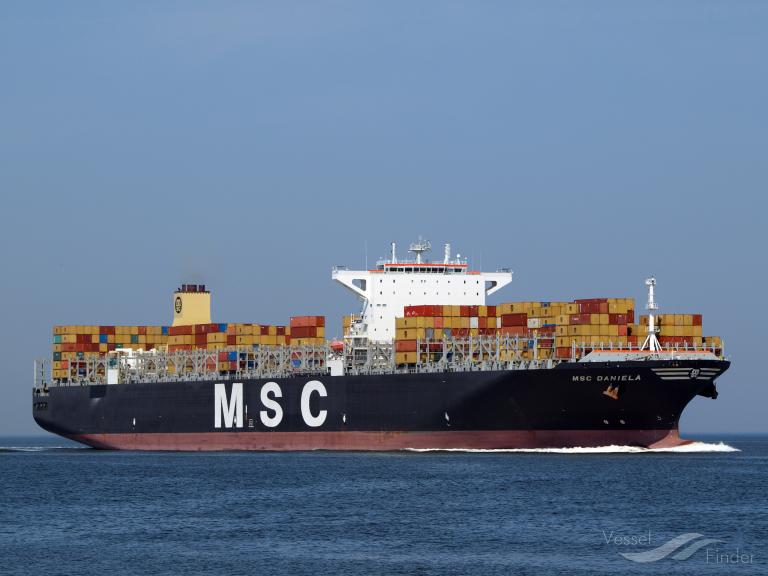 MSC DANIELA photo