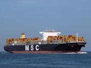 MSC-DANIELA