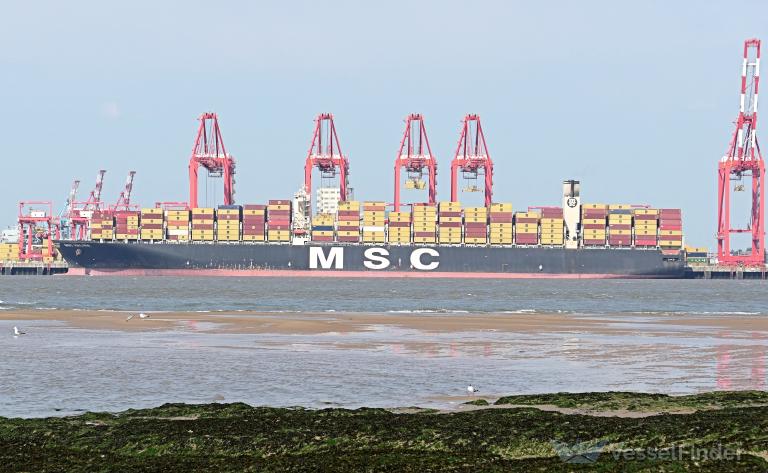 MSC KALINA