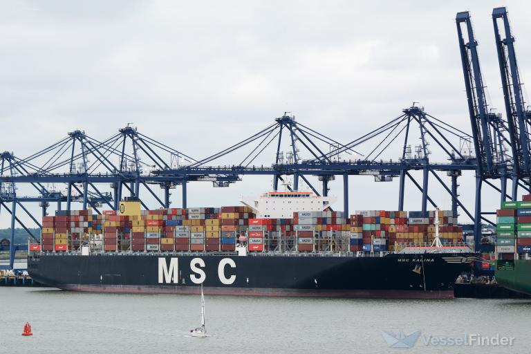 MSC KALINA Container Ship Details and current position IMO