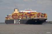 MSC BEATRICE Container Ship Details and current position IMO