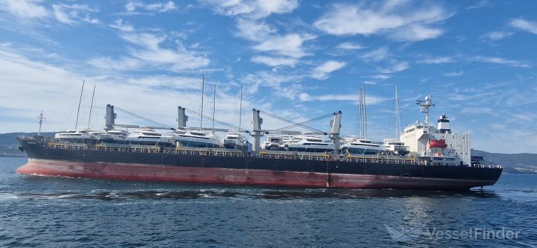 NEREUS