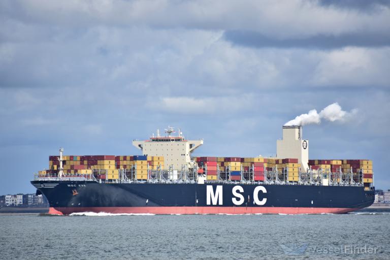 MSC EVA, Container Ship - Details and current position - IMO 9401130 ...