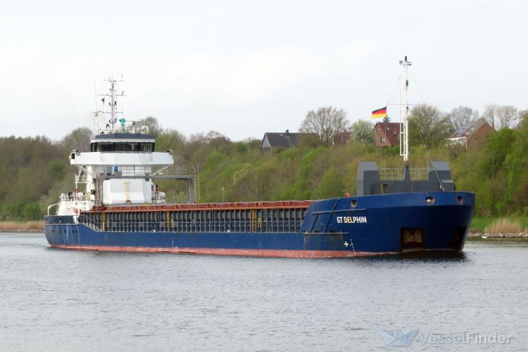 GT DELPHIN photo