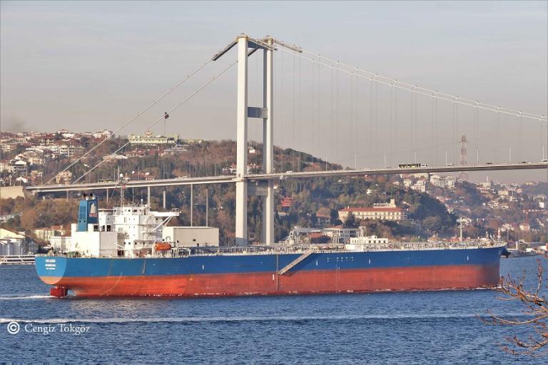 SELIGER photo
