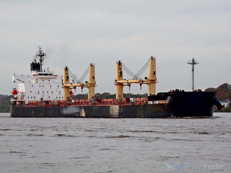 THOR CONFIDENCE photo