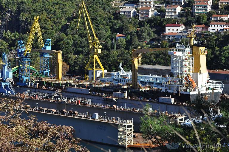 MSC AZURIT F