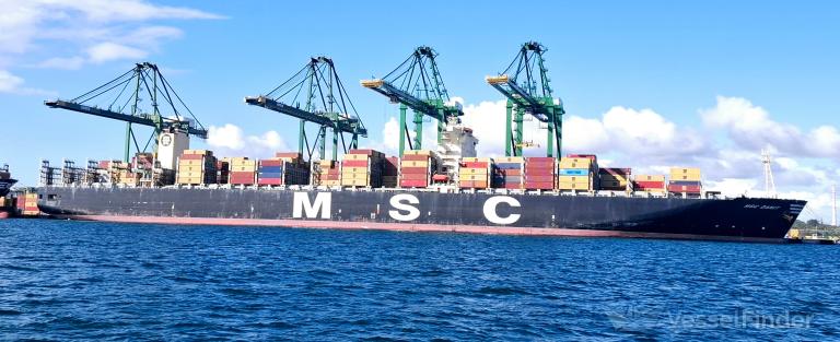 MSC DANIT photo
