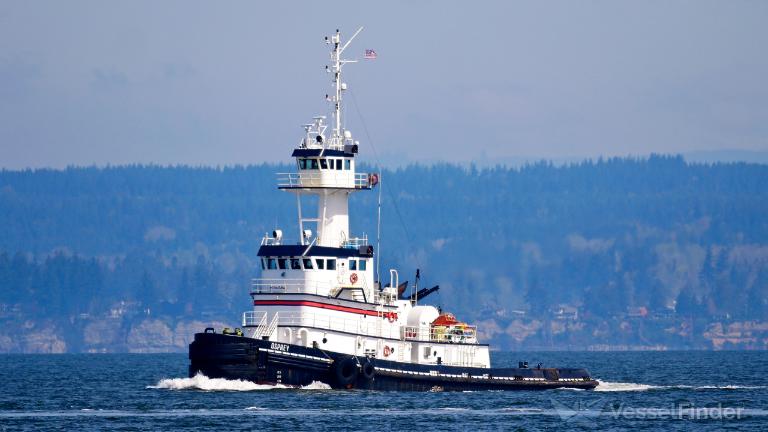 BINA MARINE 31, Pusher Tug - Details and current position - IMO