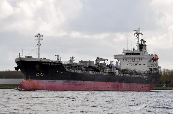 ORIENTAL MARGUERITE photo