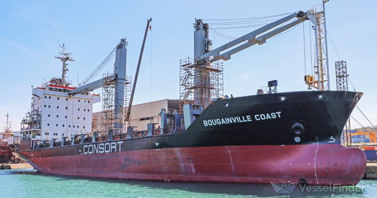 BOUGAINVILLE COAST photo