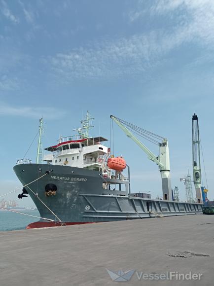 MERATUS BORNEO photo
