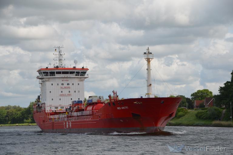 MED ARCTIC photo
