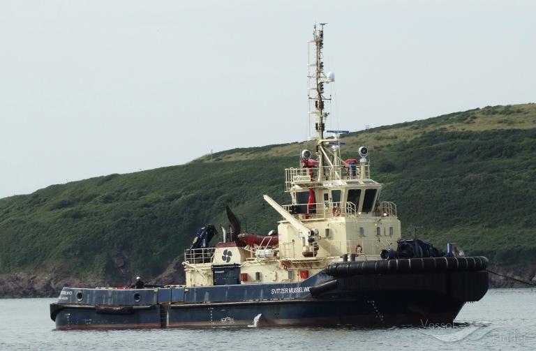 SVITZER MUSSELWICK photo