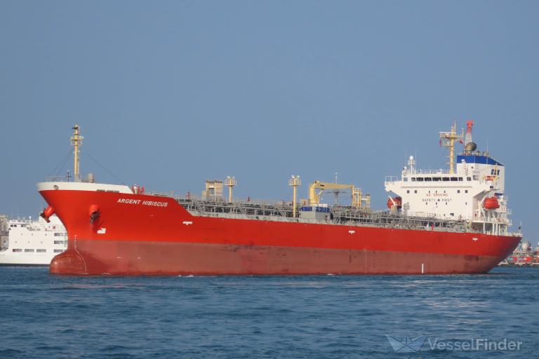 ARGENT HIBISCUS photo