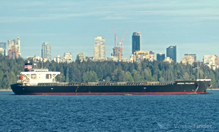 ANDREA PALLADIO photo